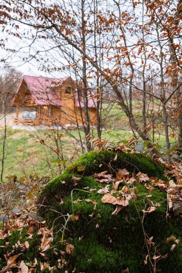 Villa Brvnaria Slatina Varoš Exterior foto